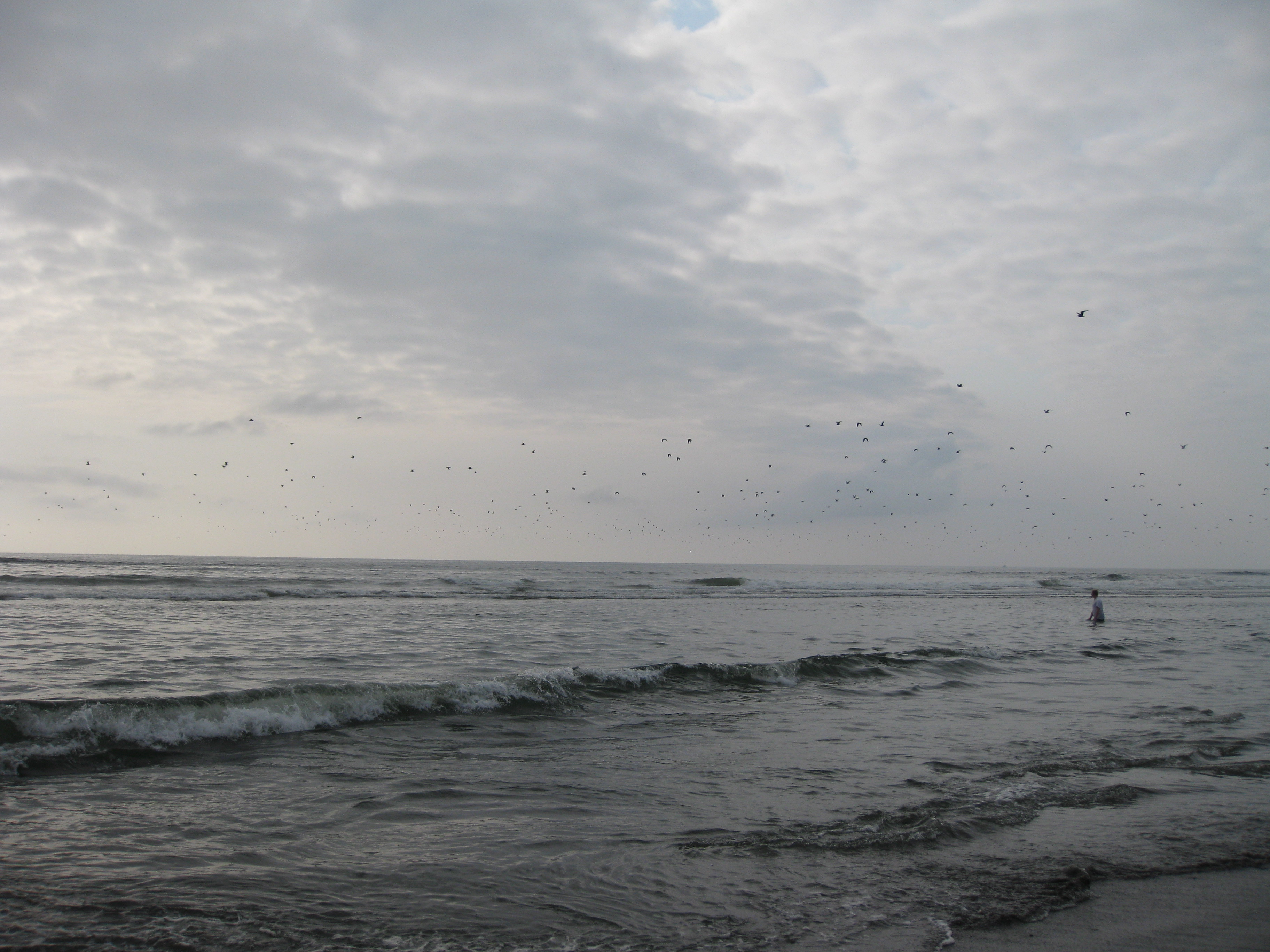 The pacific coastline is one of my favorite places to visit!